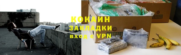хмурый Алексин