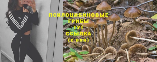 хмурый Алексин